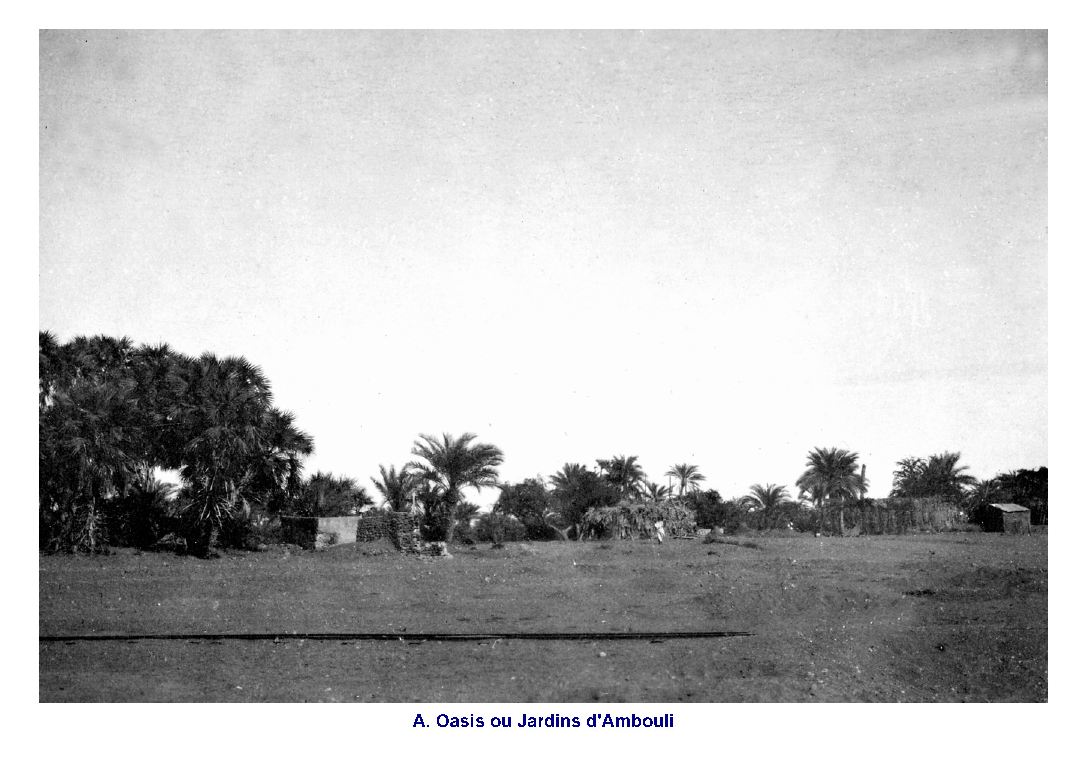 Oasis ou Jardins d'Ambouli 1935-40